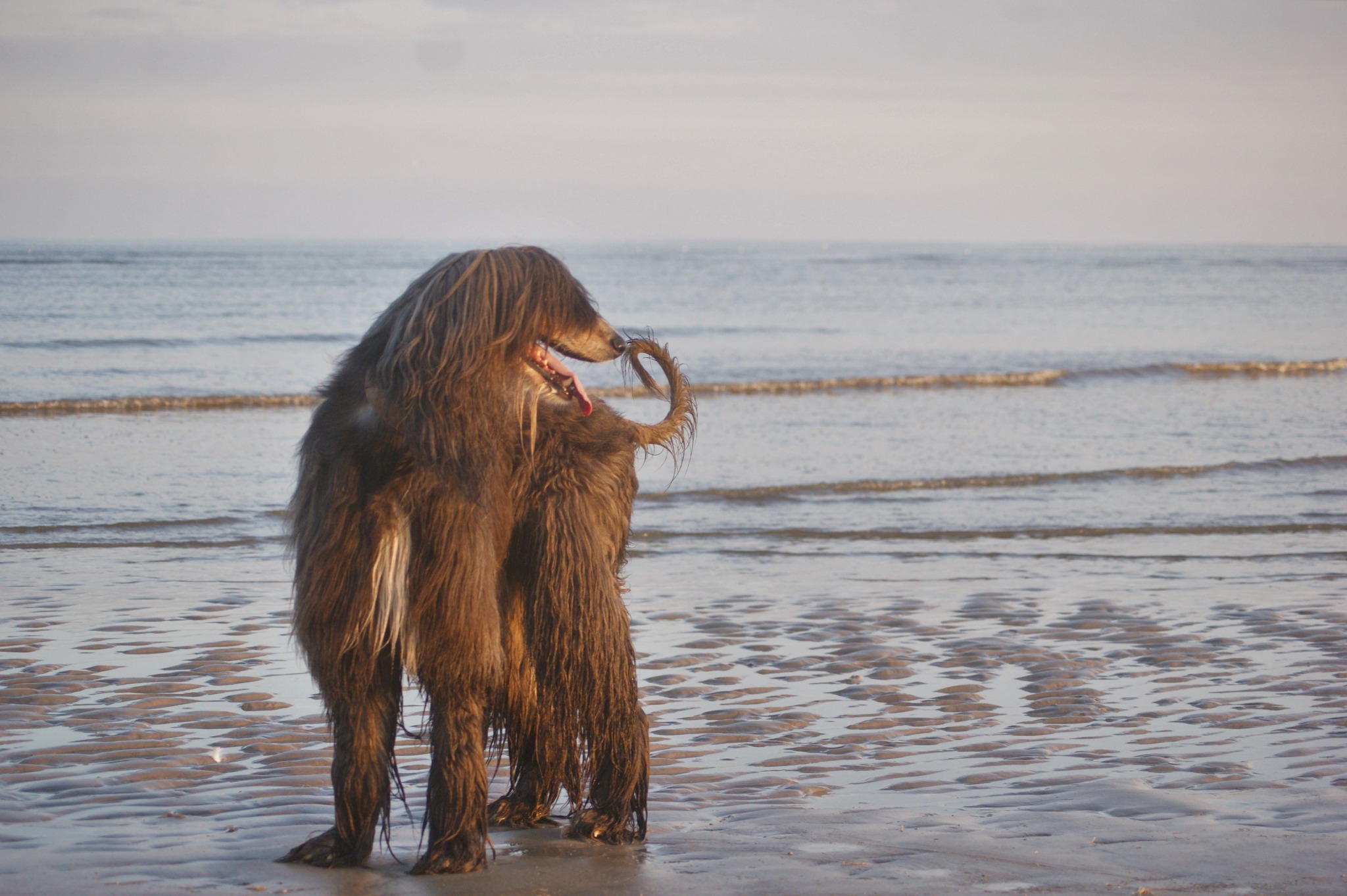 Erica (ehemals Isabel)