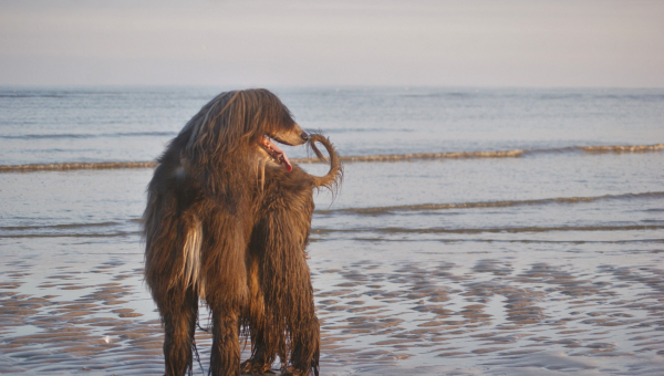 Erica (ehemals Isabel)