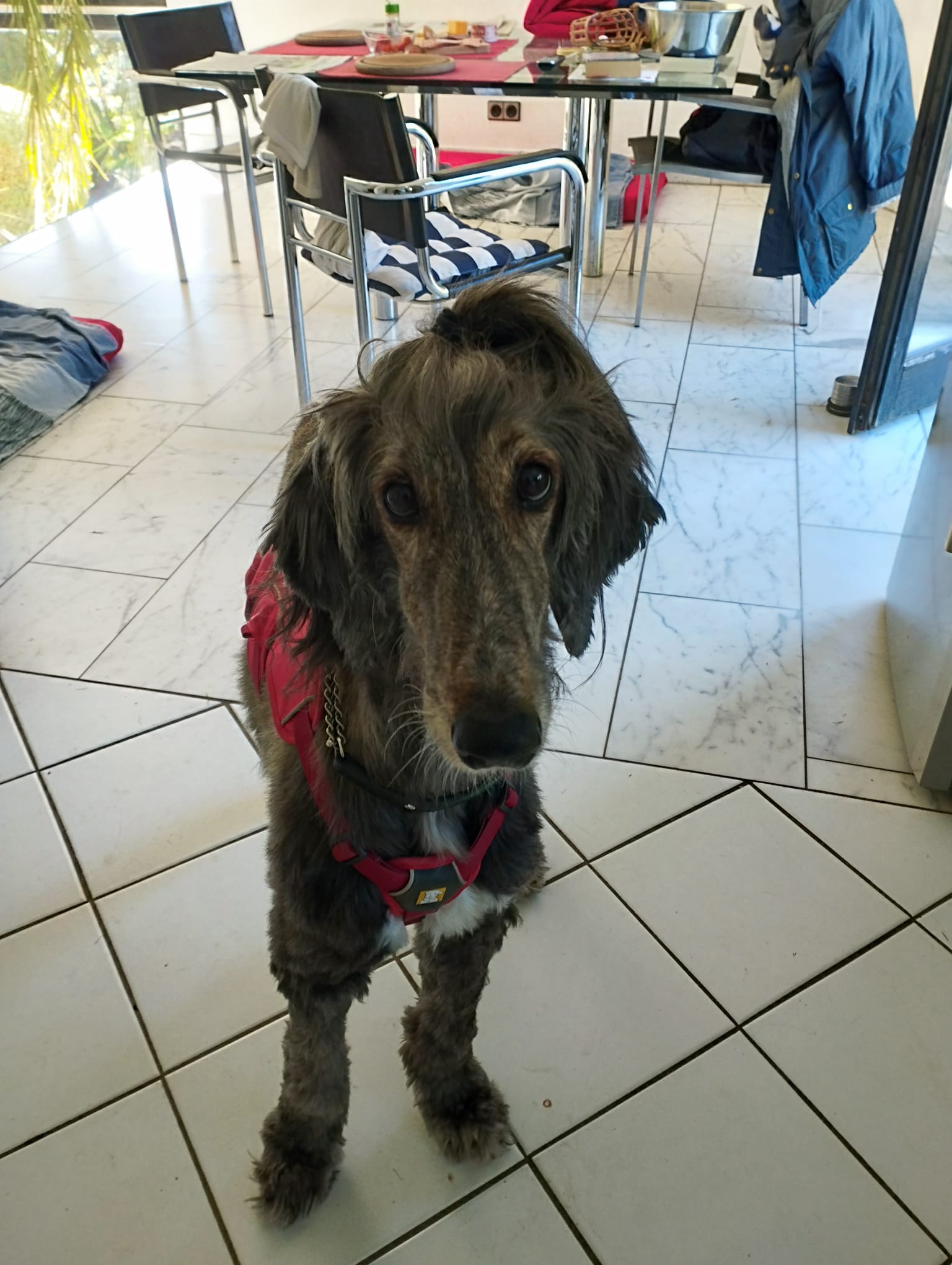 Manabi (ehemals Elif)