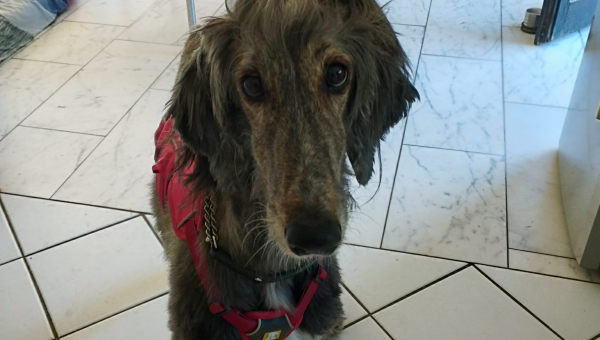 Manabi (ehemals Elif)