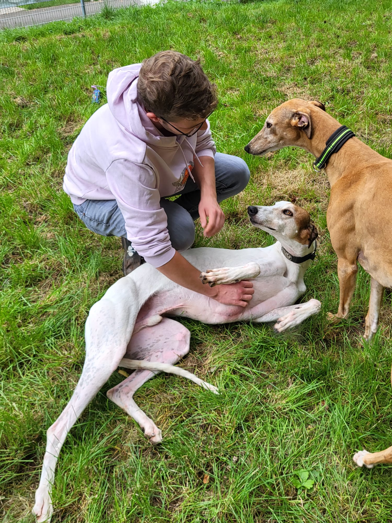 Immer noch auf der Suche