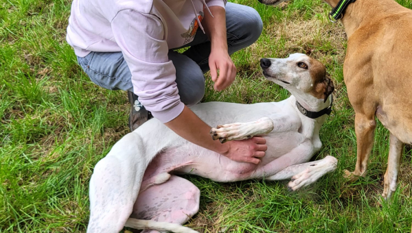 Immer noch auf der Suche