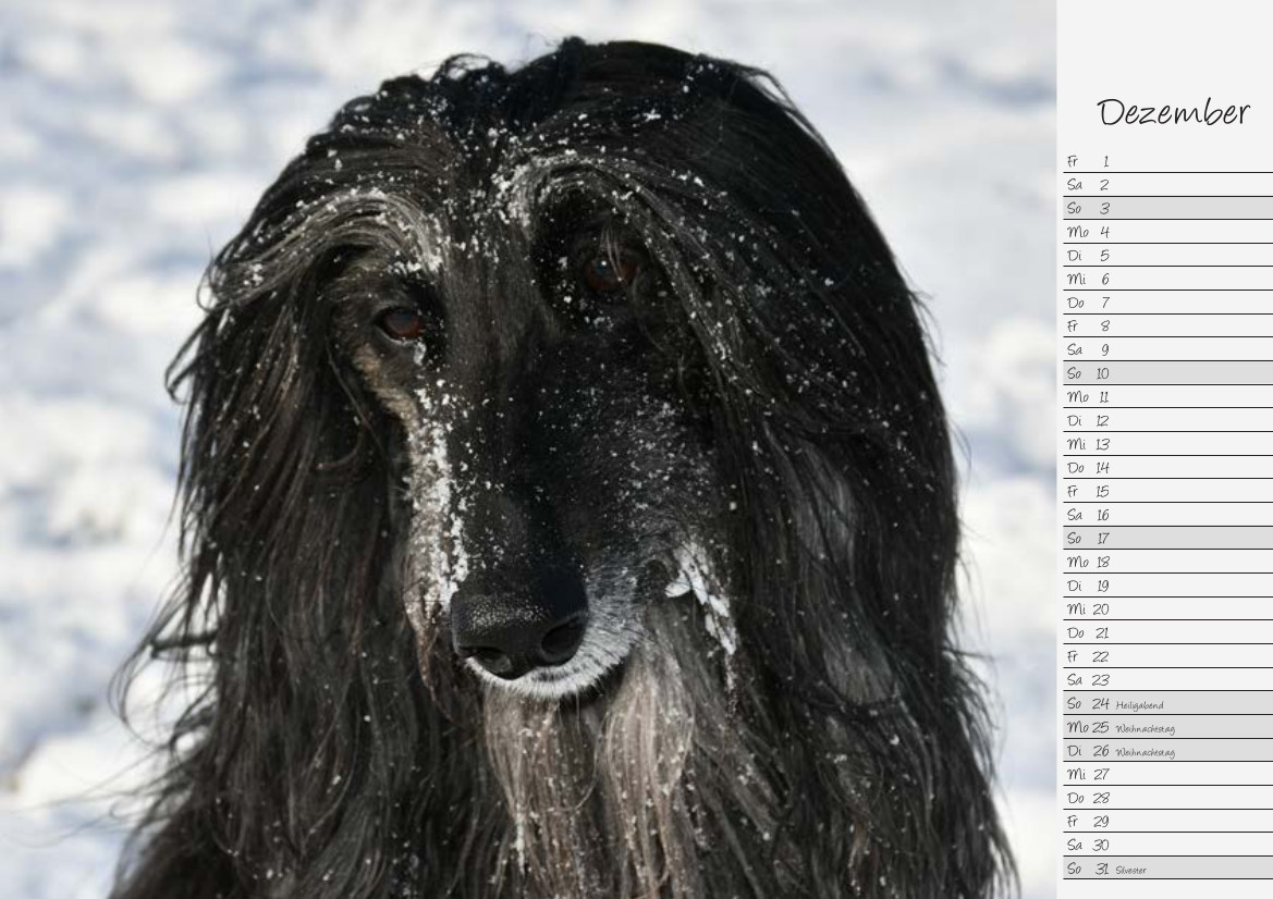 Lulu begrüßt den Dezember