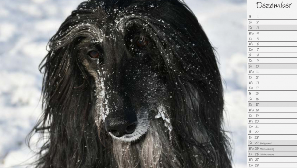 Lulu begrüßt den Dezember