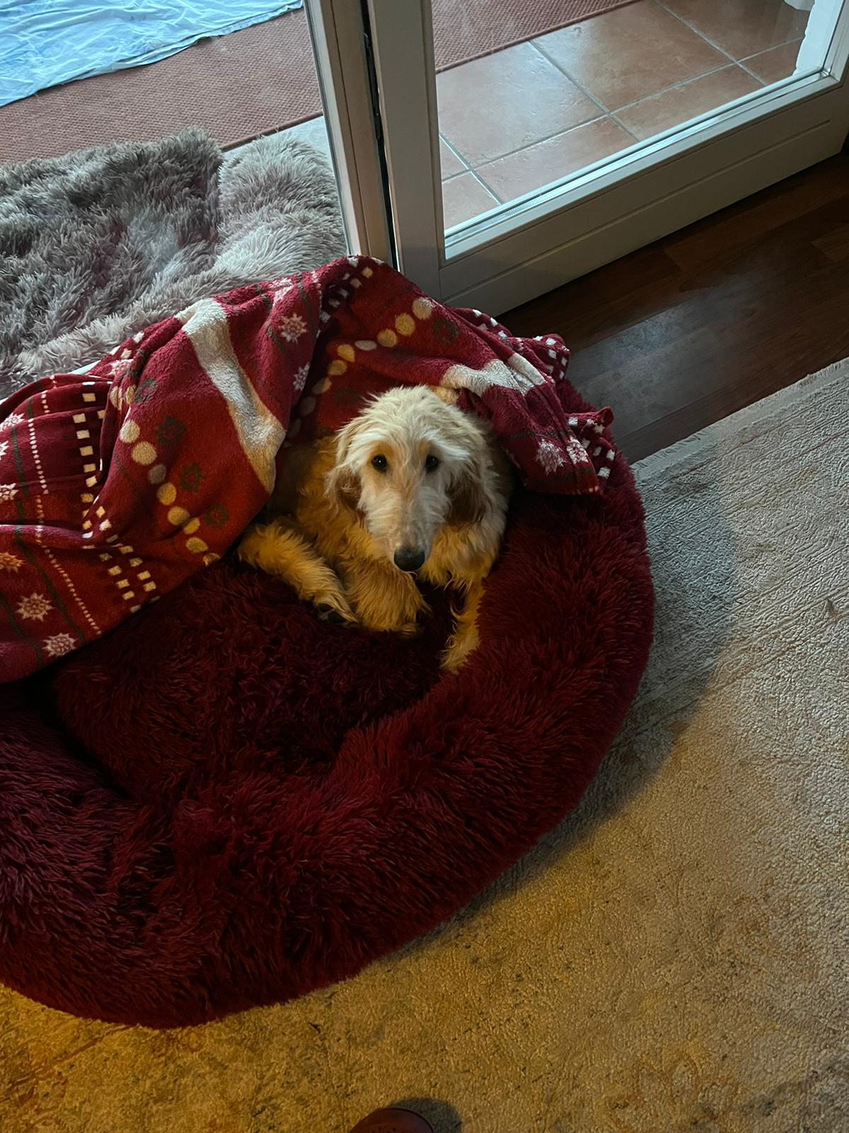 Viel Spaß kleine Ella
