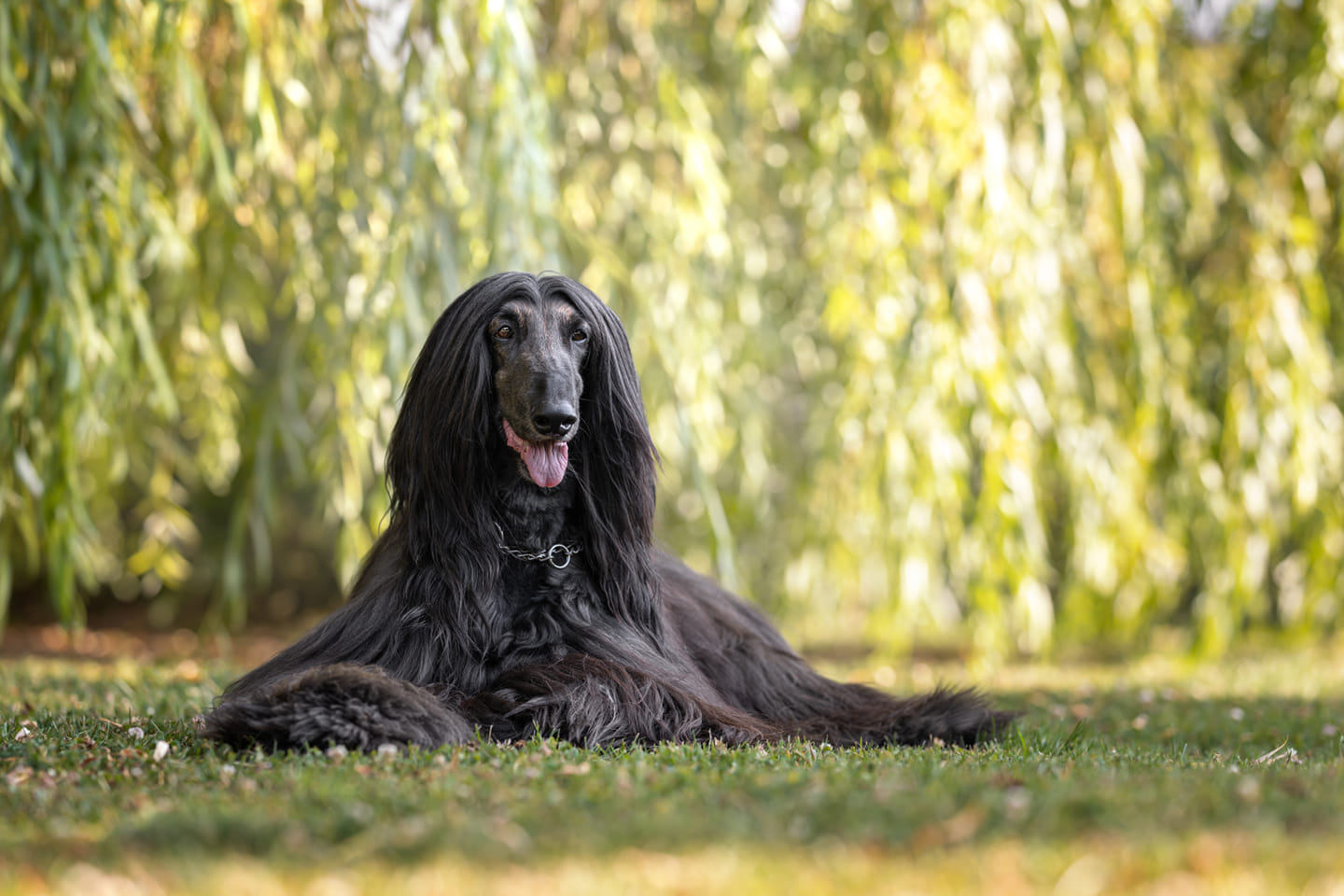 „Wir sind sehr traurig, er hinterlässt eine große Lücke.“