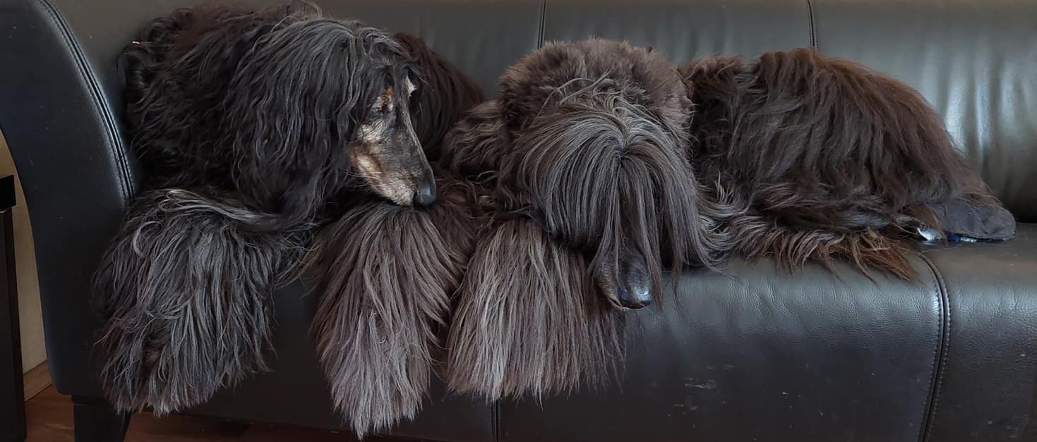 Mach's gut schöner Islem