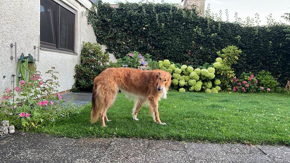 Irgendwie ein Kraftakt