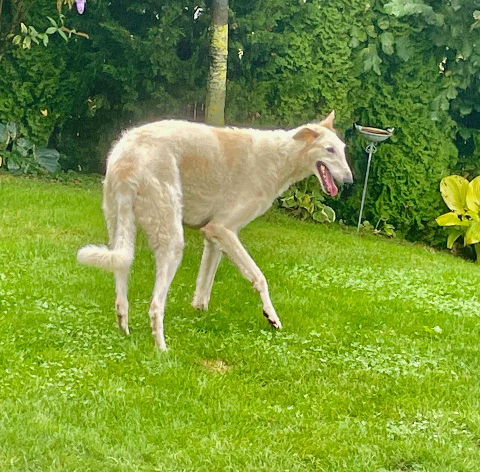 Allerlei im September 2024