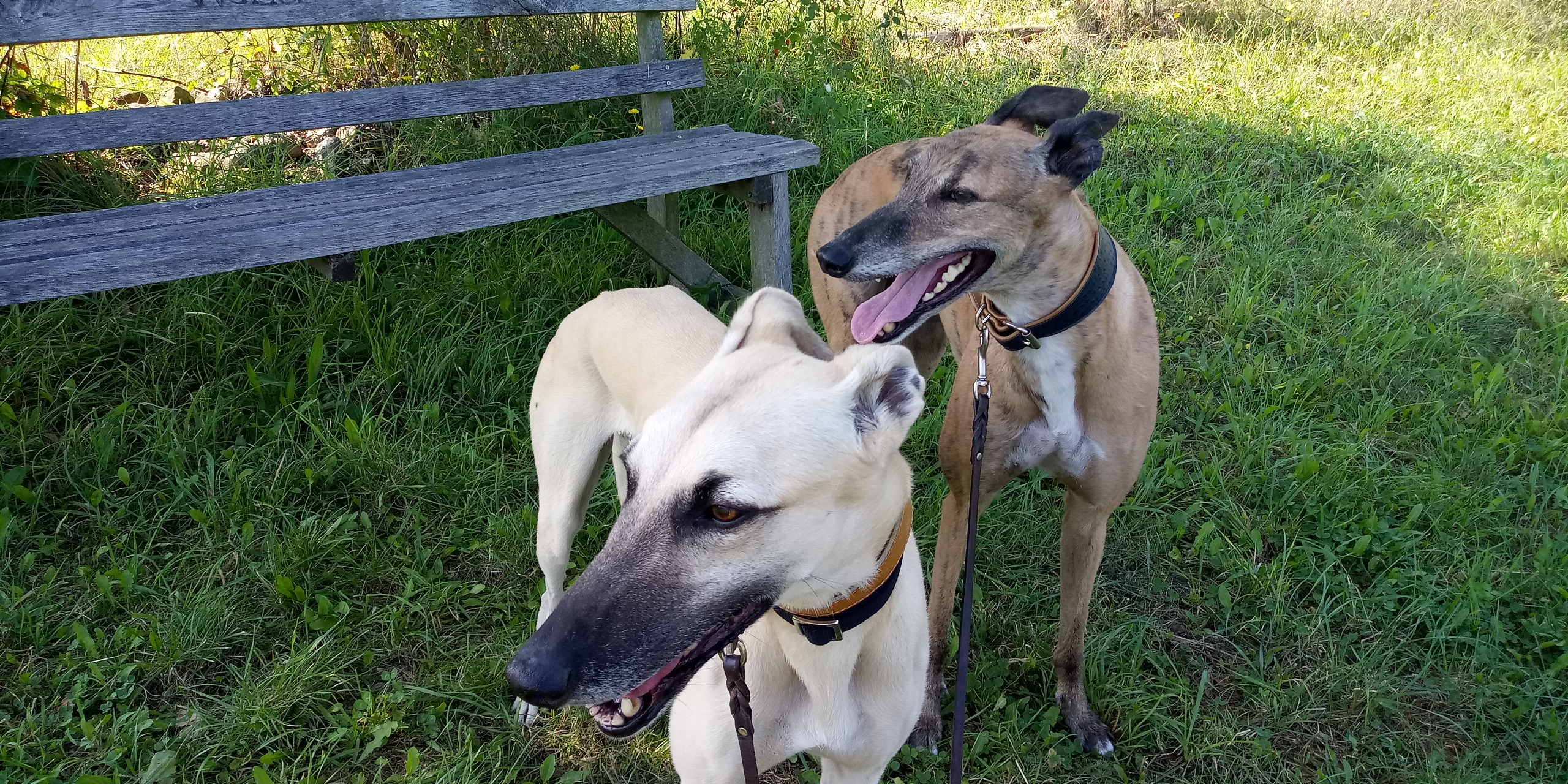 Gruß aus dem nahen Osten