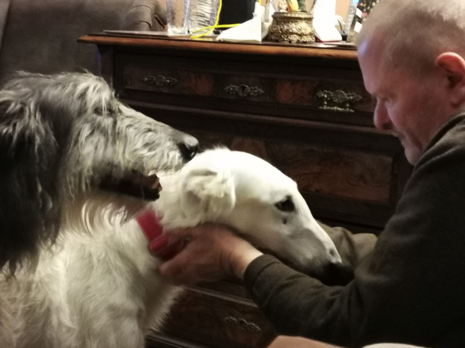 Eine bisschen wie Weihnachten