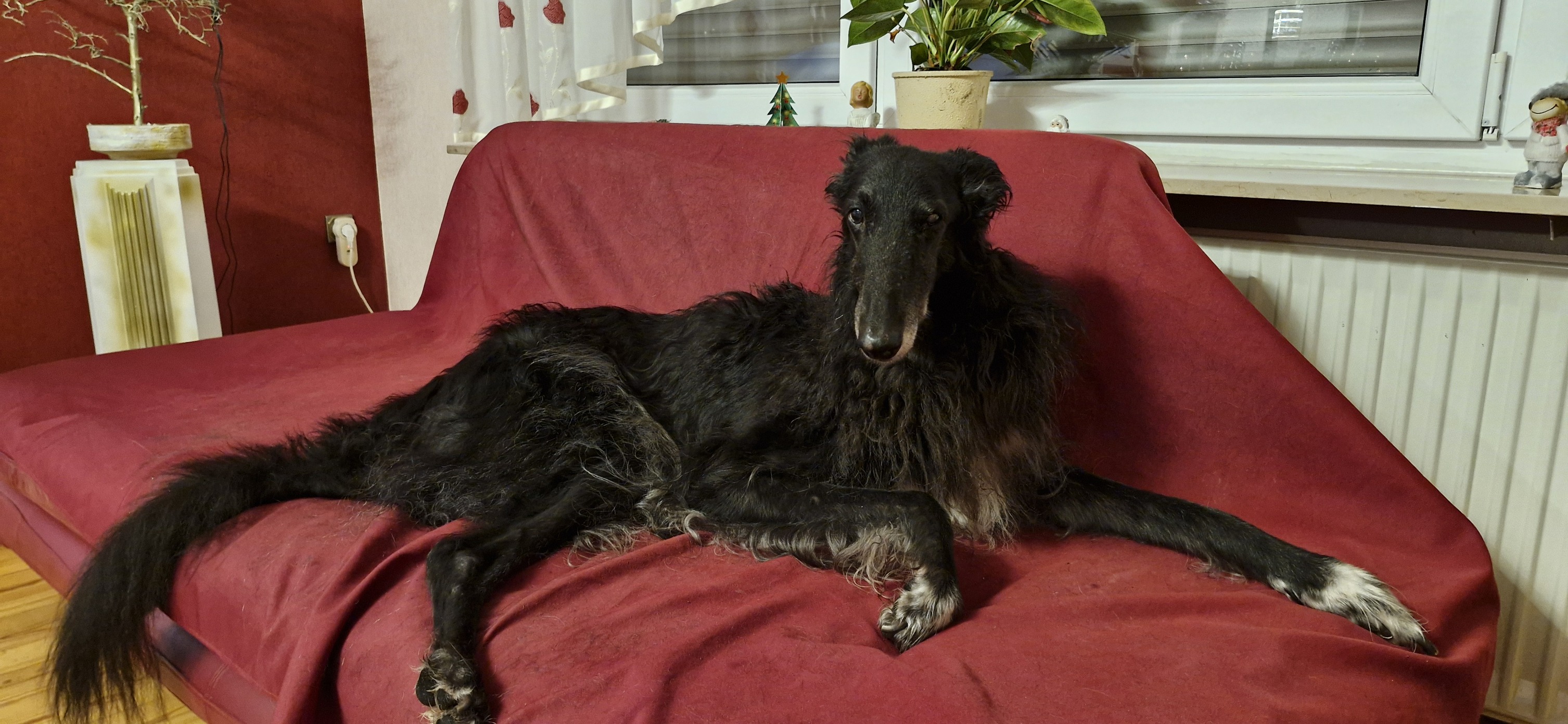 Weihnachtsgrüße von Galyano