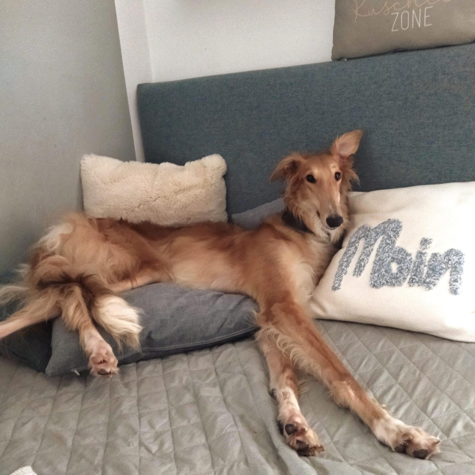 Josefine freut sich auf das neue Jahr