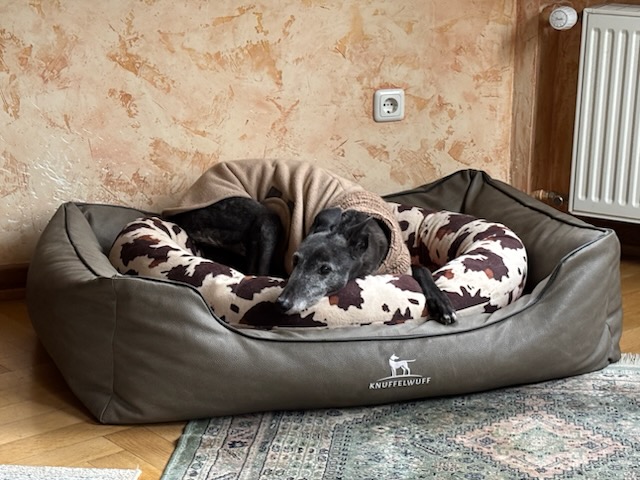 Herzlichen Glückwunsch liebe Kira