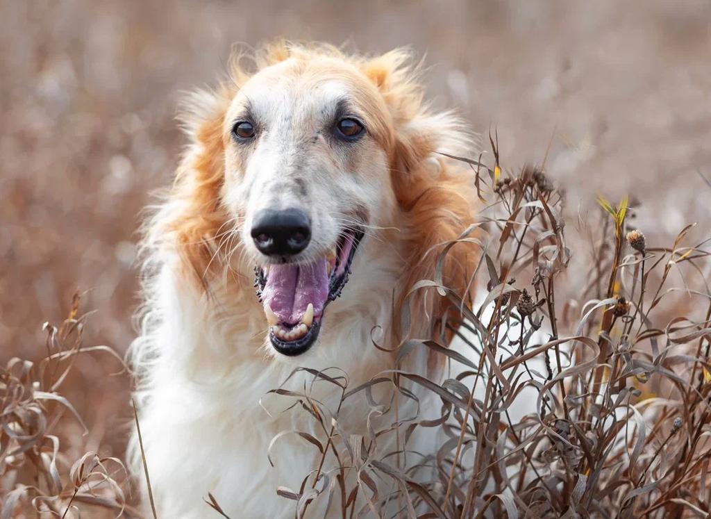 Können wir das schaffen?