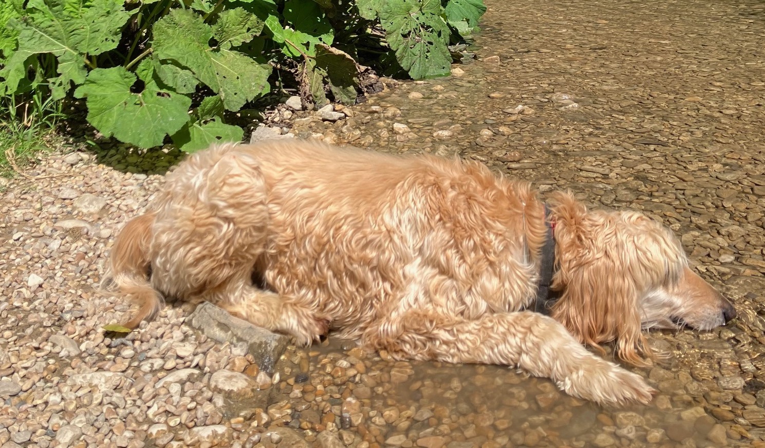 Liebe Grüße von Sony 2025