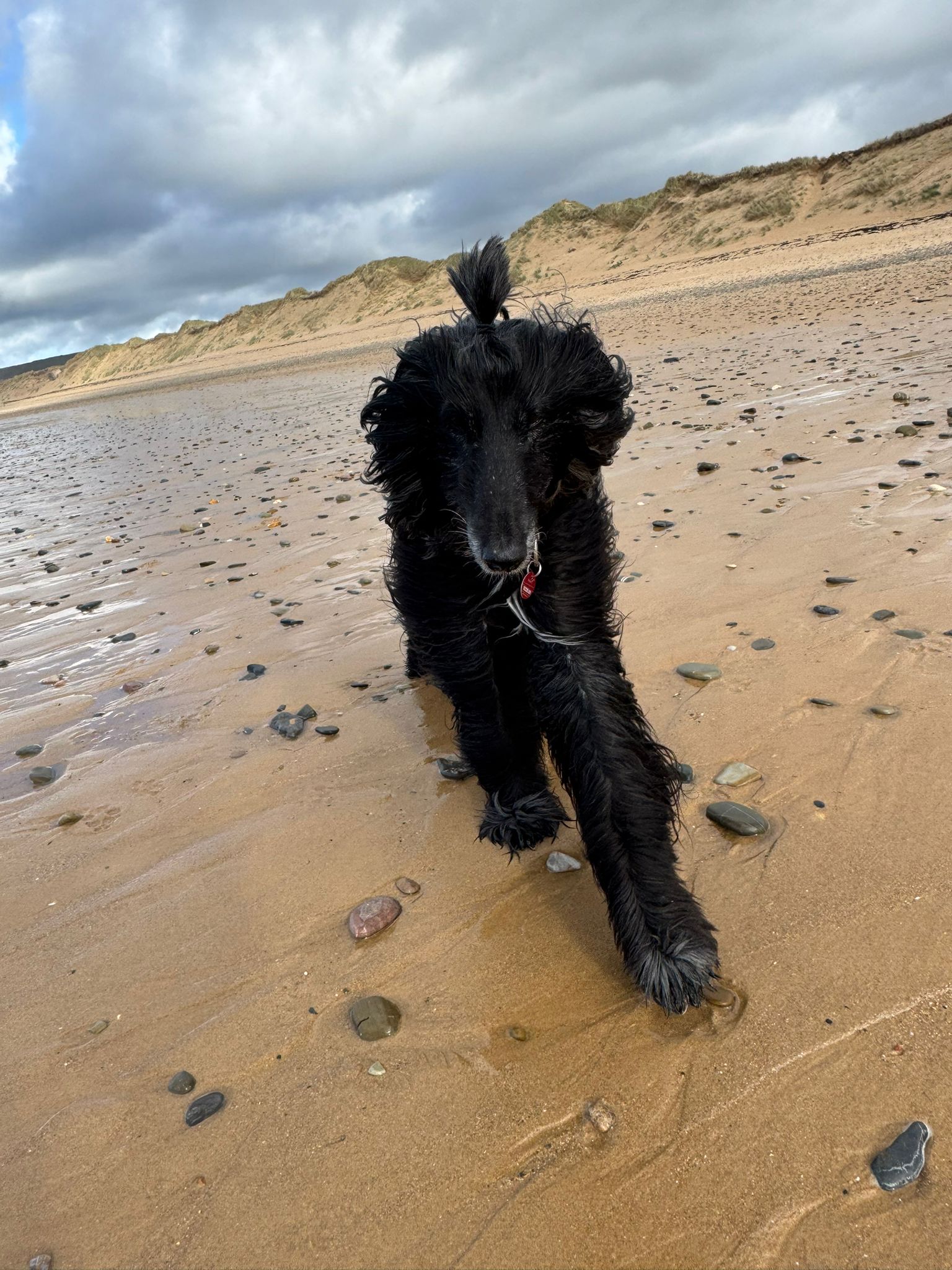 Franzisca und das Meer