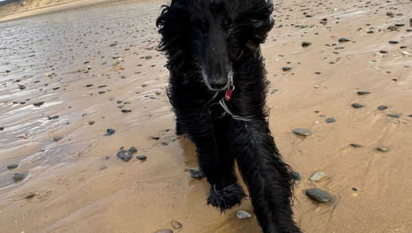 Franzisca und das Meer