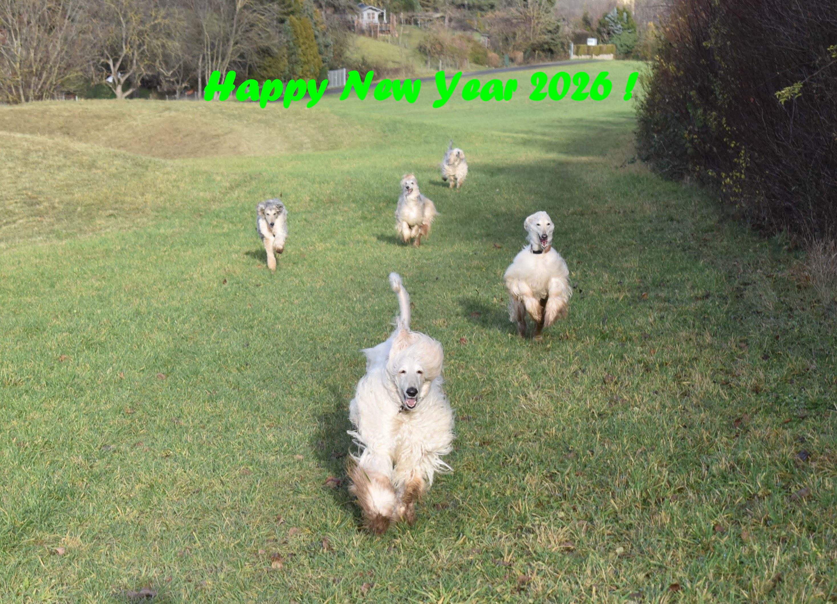 Silvester 2025 & Happy New Year 2026