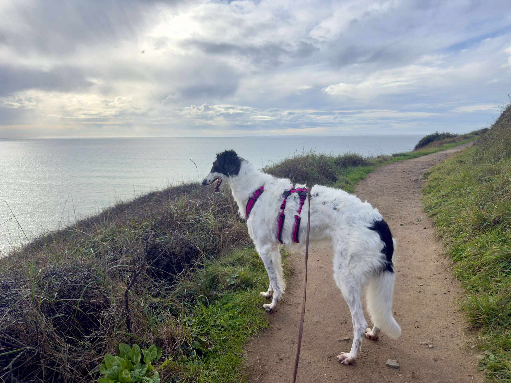 endlich Frühling und unsere Elise