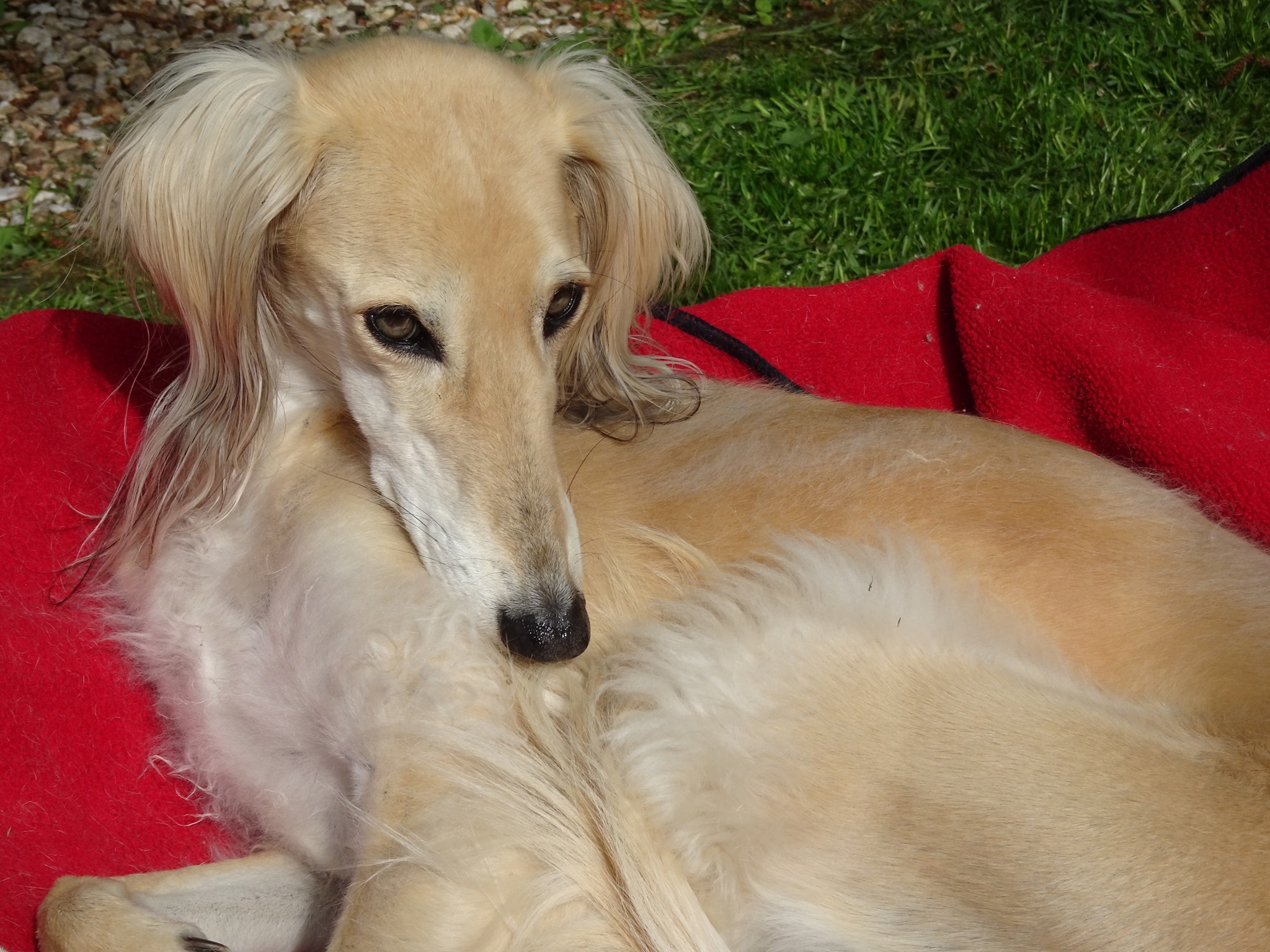 Ein Ära geht zu Ende