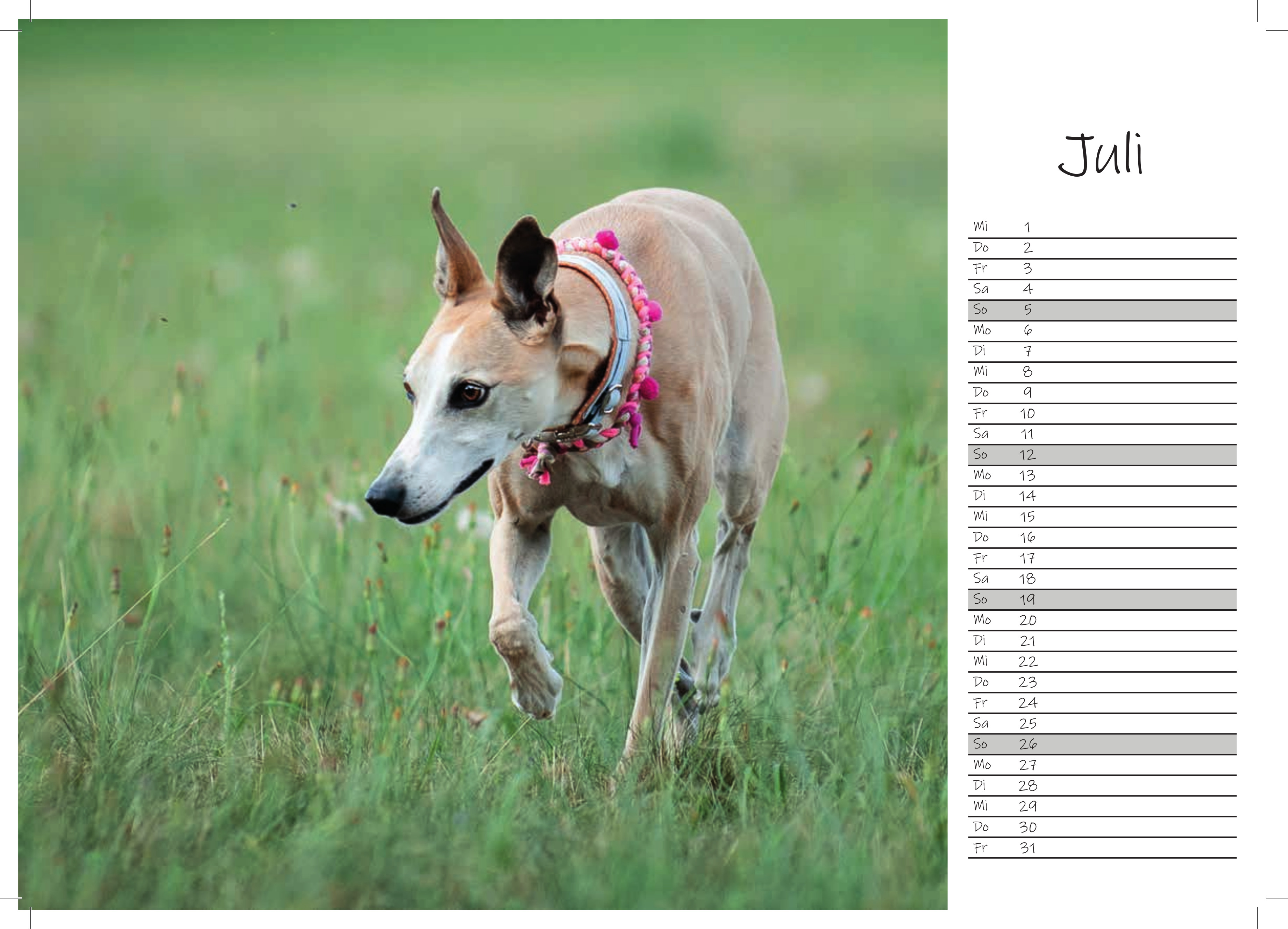 Juli 2026