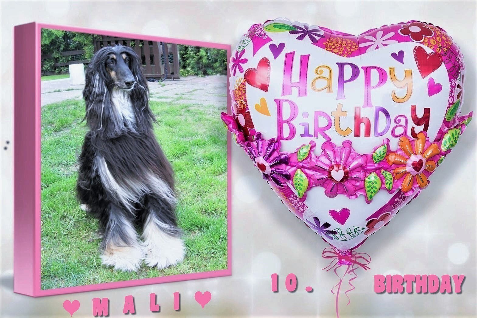 207535304 1625975480930320 2890616564670652289 n