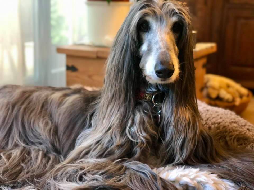 207984599 4775728802440645 7902166122970144424 n