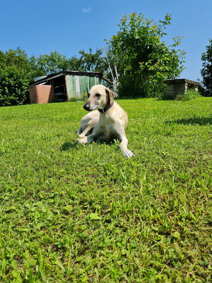 219477177 5836068633131411 4547408443461400378 n