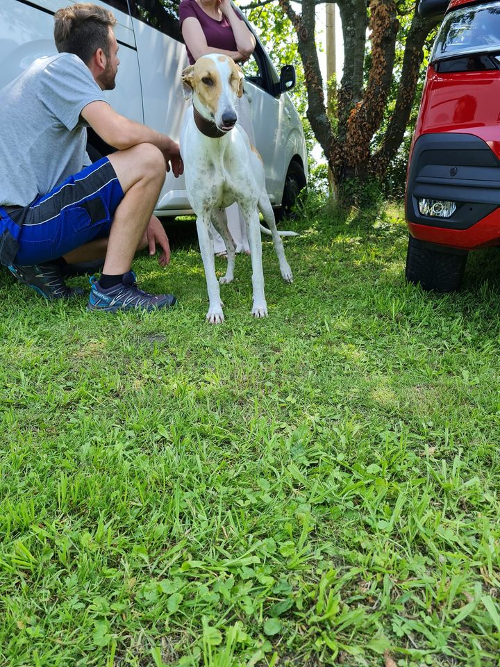 219846778 5836068873131387 6156476603070830711 n