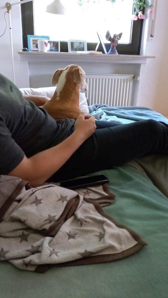 220293367 189453079740003 5606008060667335937 n