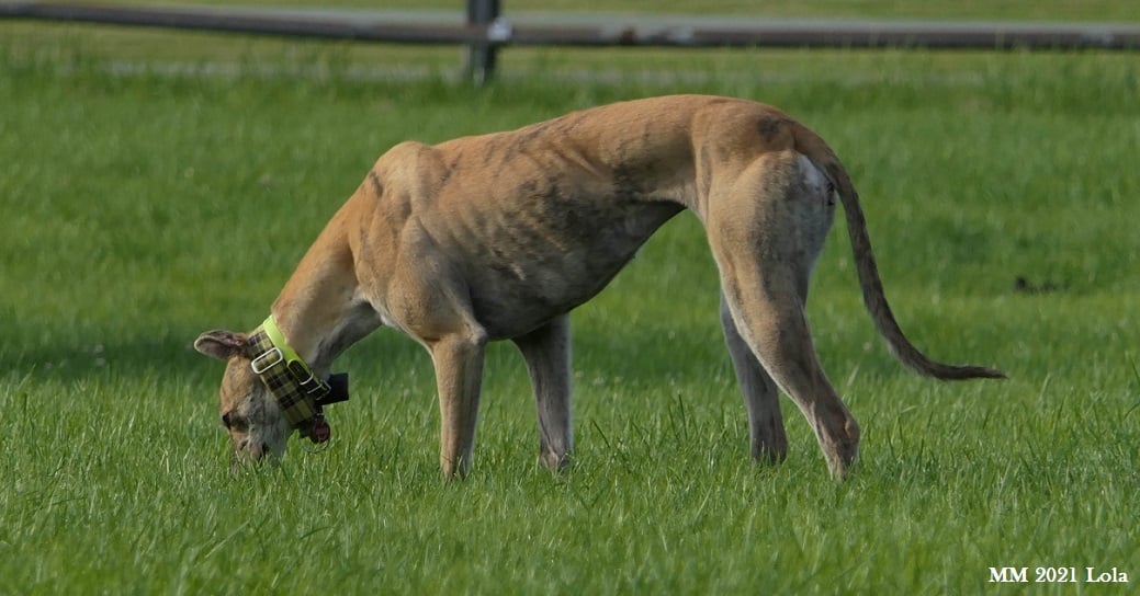 231740826 10215615018088062 6571792597658289395 n