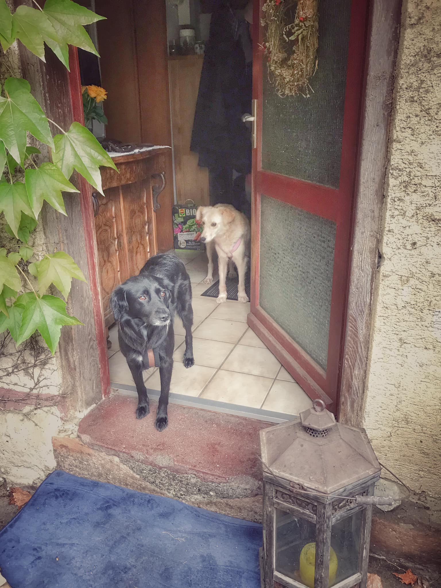 243870721 4950090761670877 2898452500747853851 n