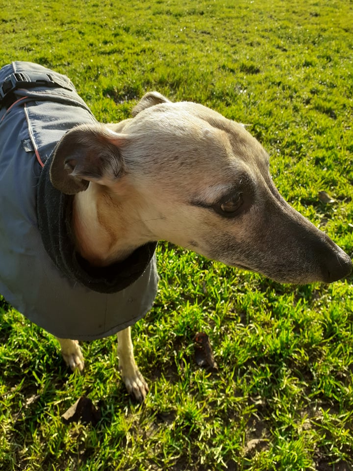 262125350 4564204660330491 7935470828710936788 n