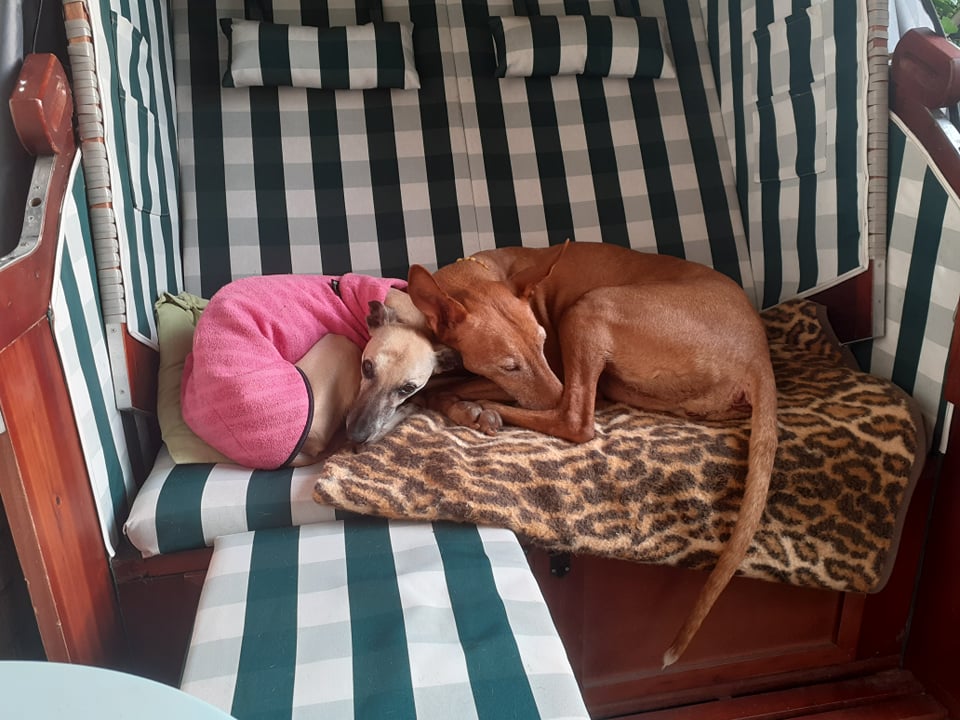 262281712 1065709084179045 6219146529178623608 n