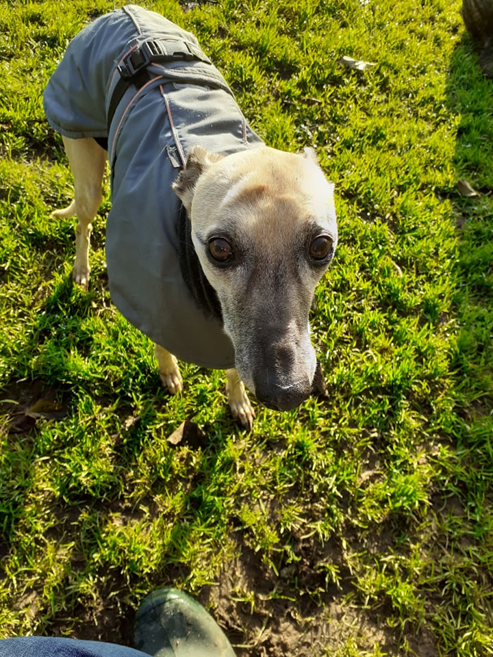 262348540 1123052055186732 2551325887895286338 n