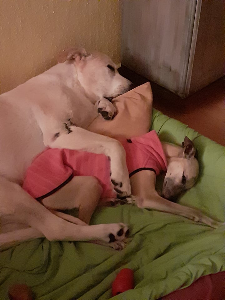 263144256 613933693221162 1321037686045409542 n