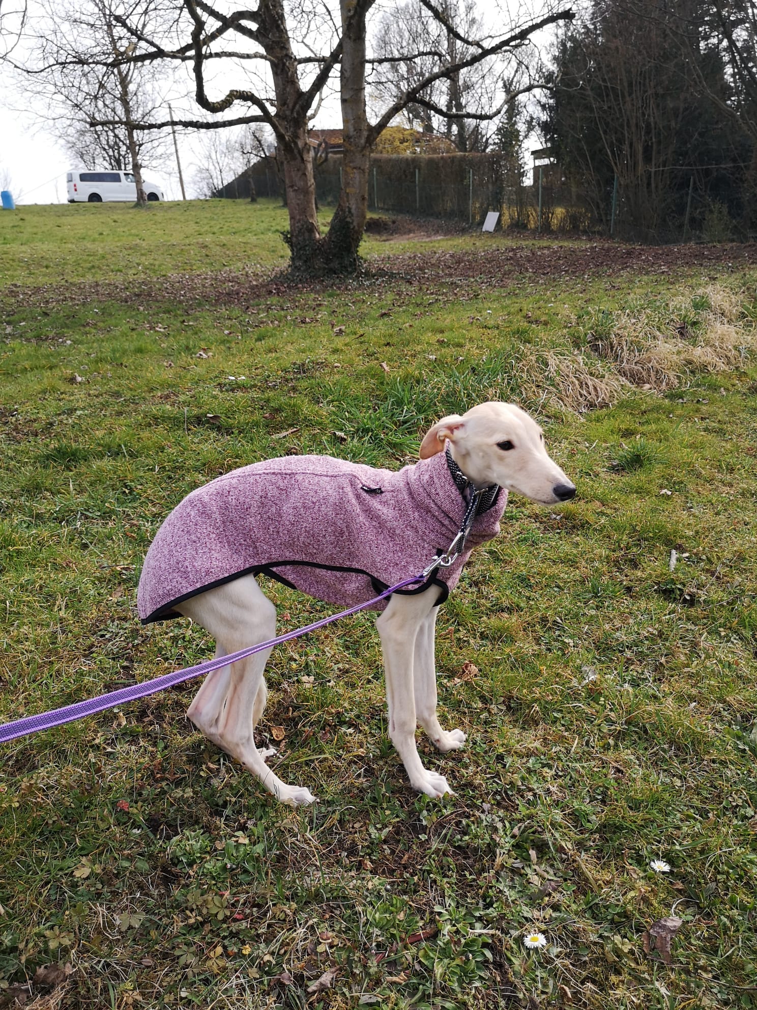 277225147 7274431409295119 3834688411498329216 n