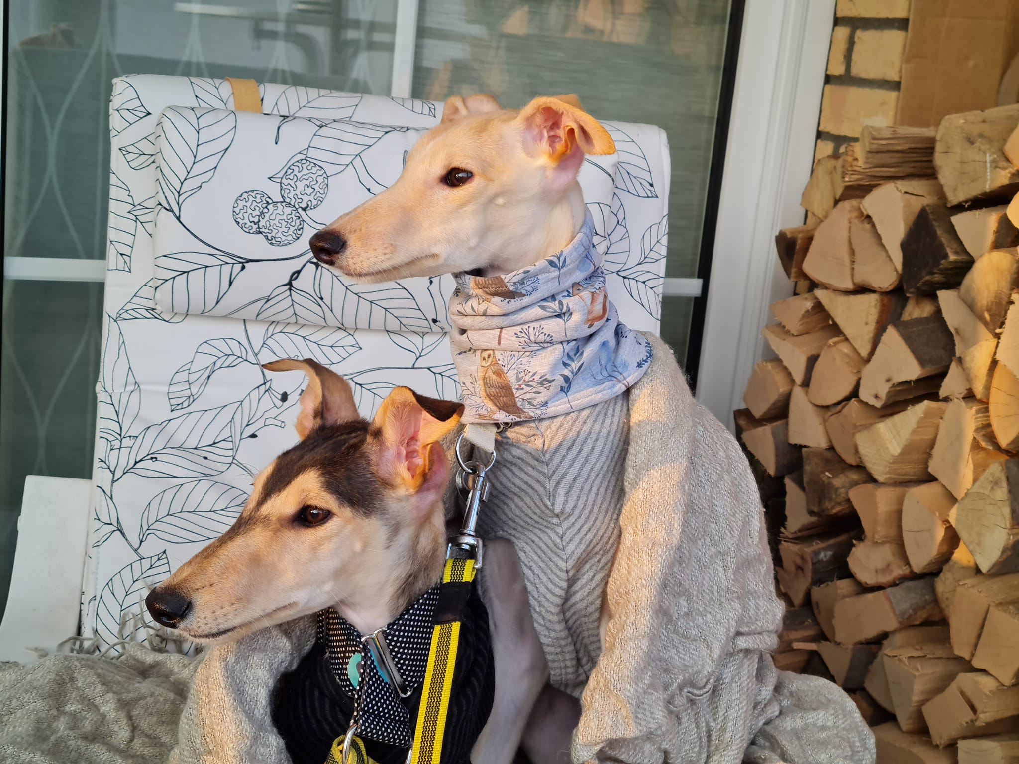 277589146 7274431012628492 8056107373668934069 n