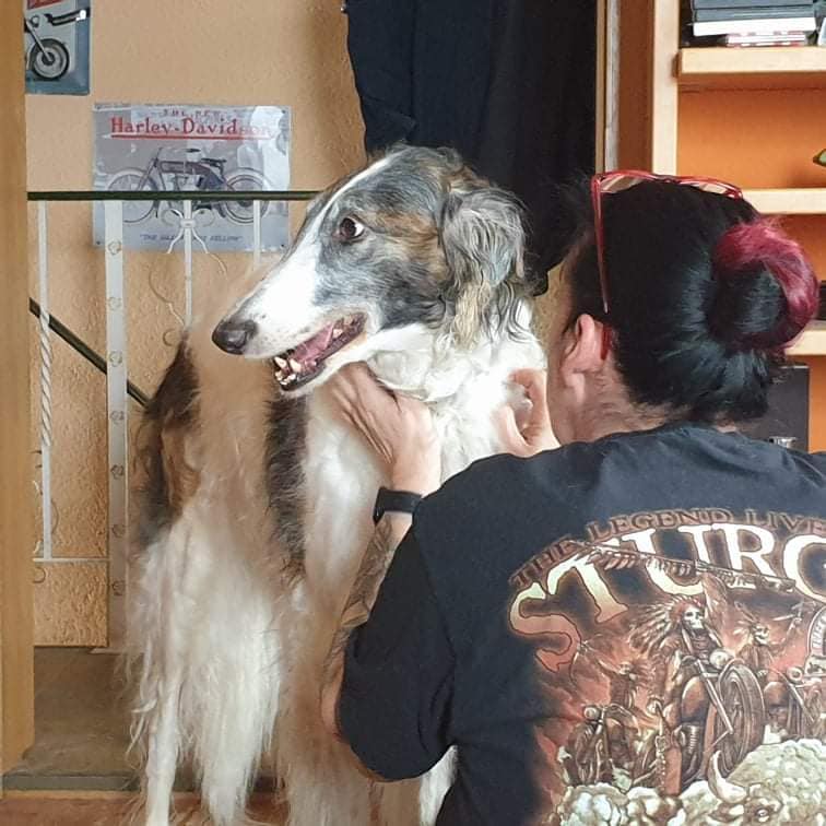 277669782 695030891840791 6412918344168941872 n