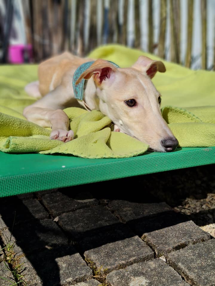 277725625 7274428412628752 2794855216116444769 n