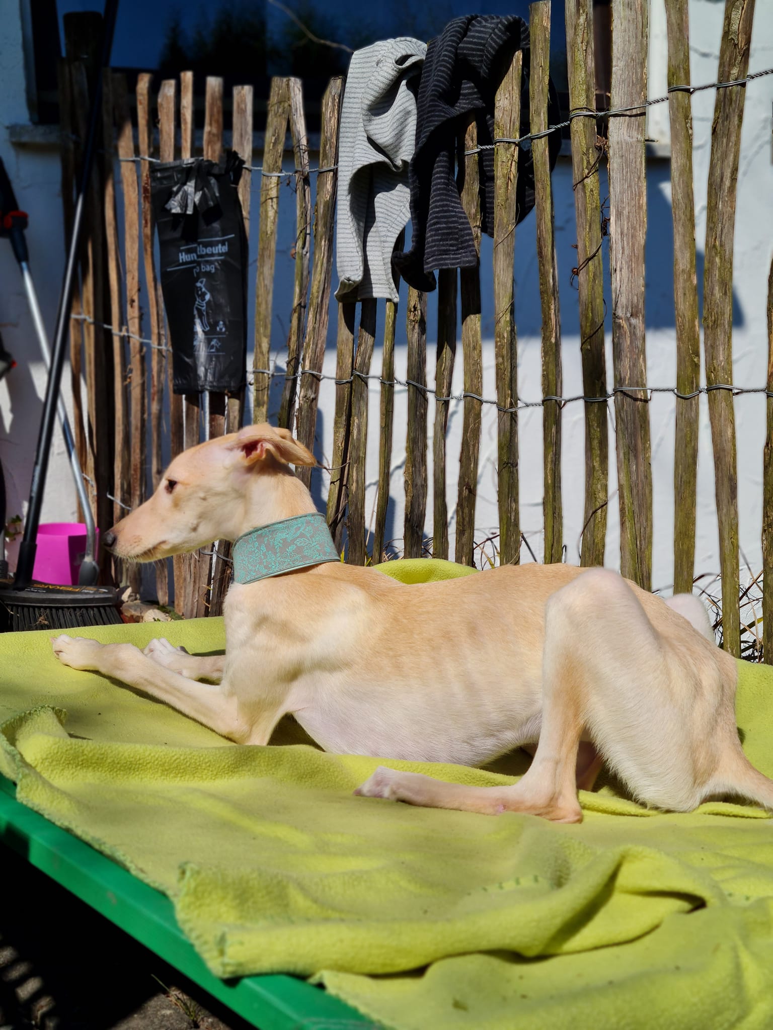 277755330 7274430052628588 671004334997950318 n