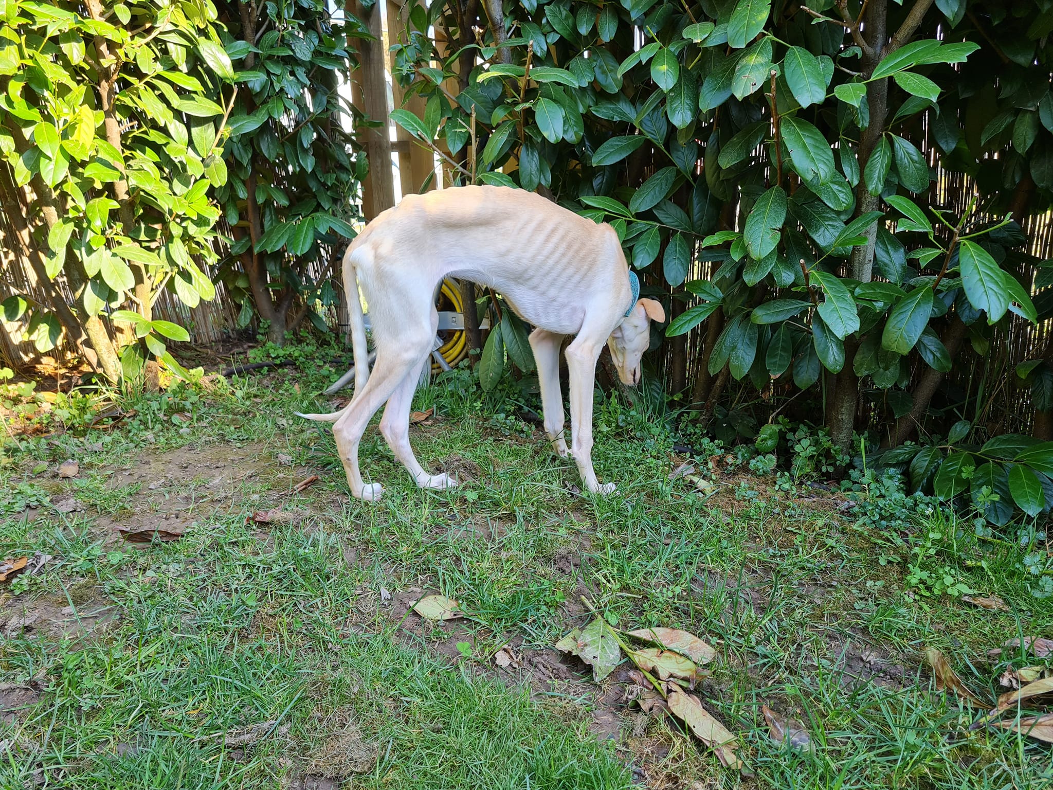 277808936 7274430852628508 8291346164240854965 n