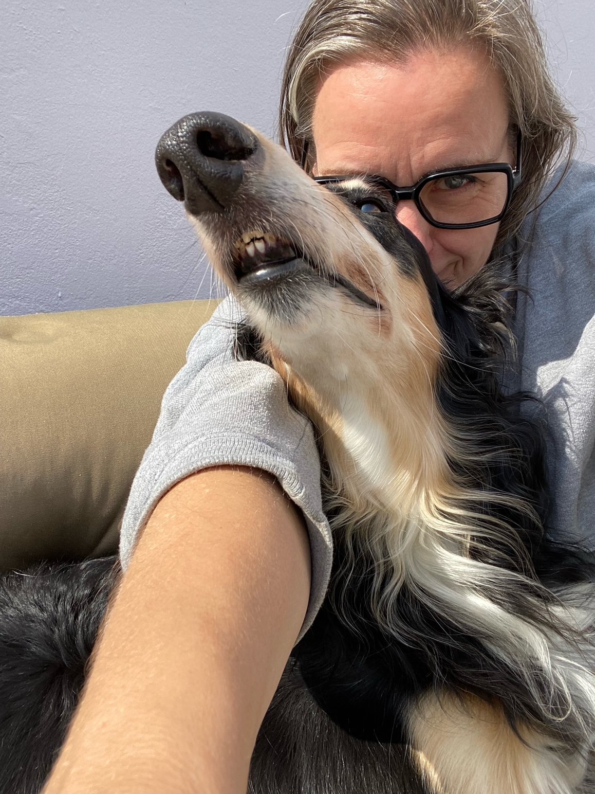 294234322 7784446568293598 8642583565084173348 n