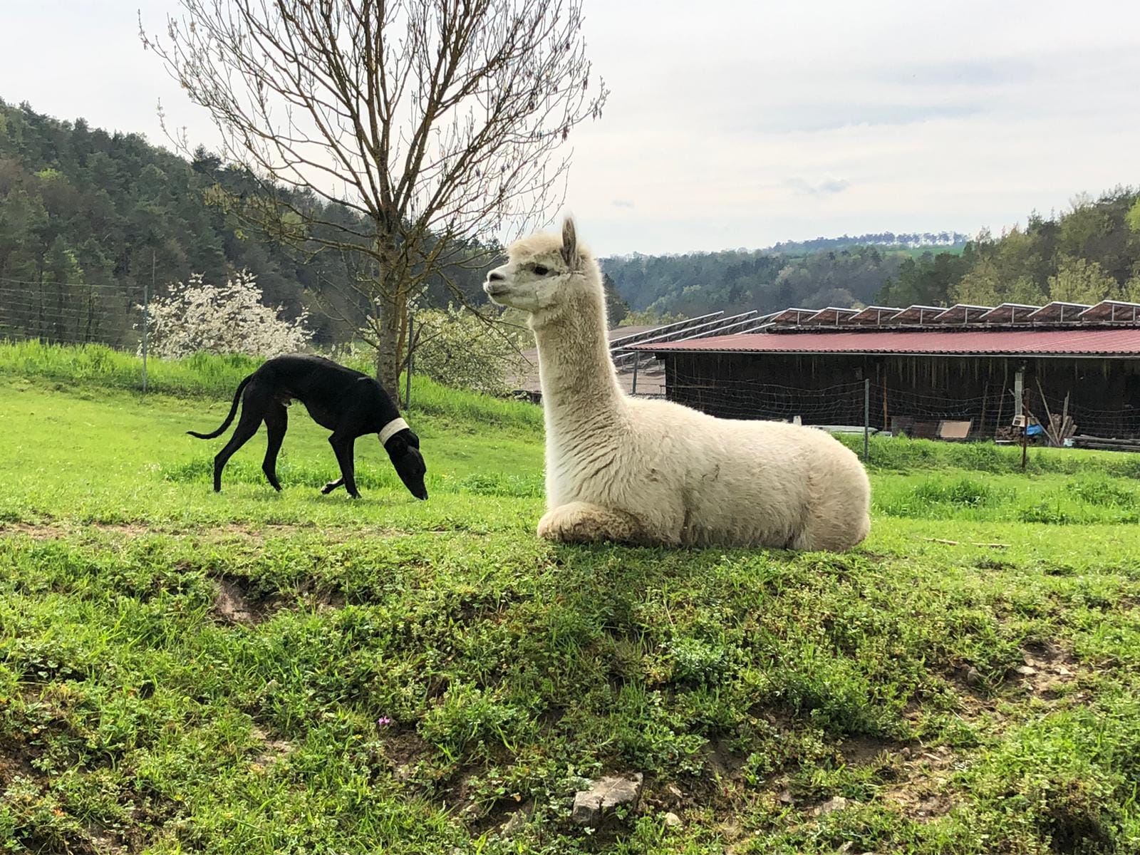 345036186 910730666704129 8877924486213717110 n