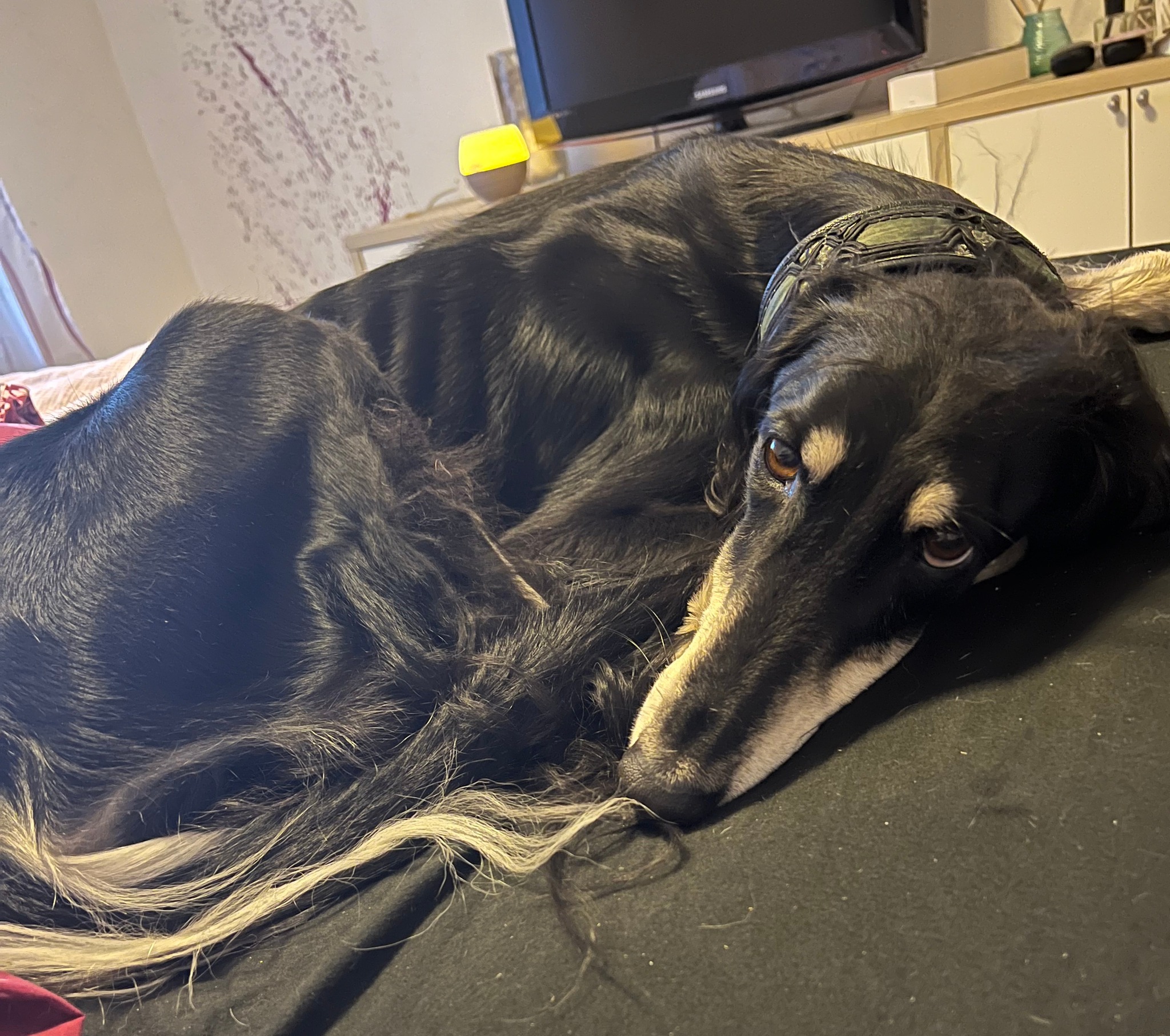 391586577 719070496925161 6607942015147157917 n