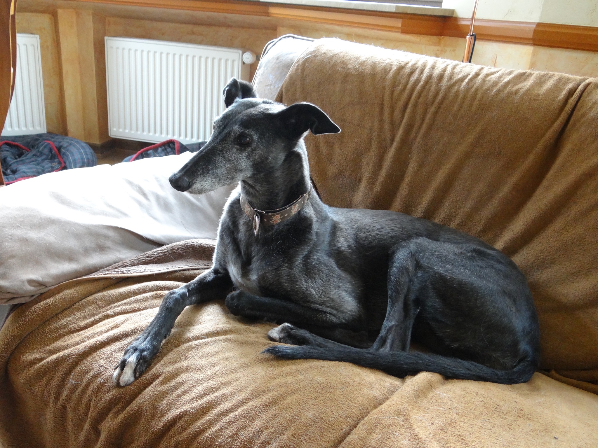 480496430 1081654690666738 2161281579157365191 n