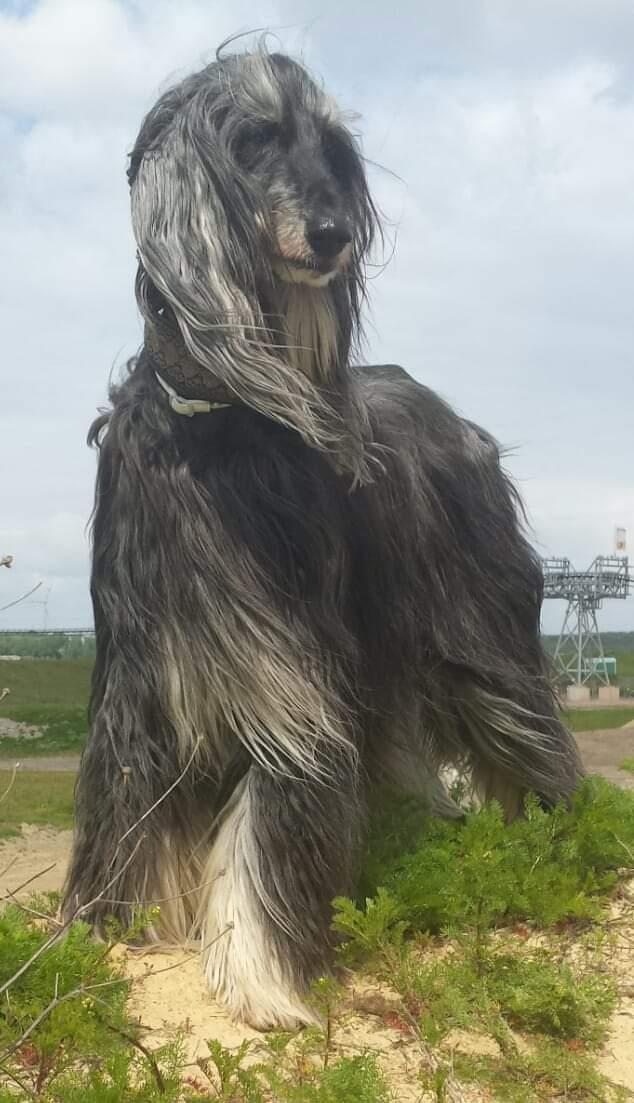 64534292 674338333003184 8694989973096497152 n