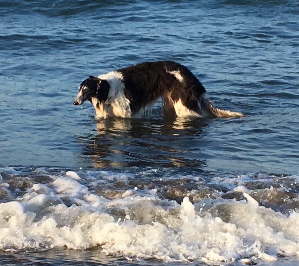 80741990 3371715602900072 6584961137157079040 o