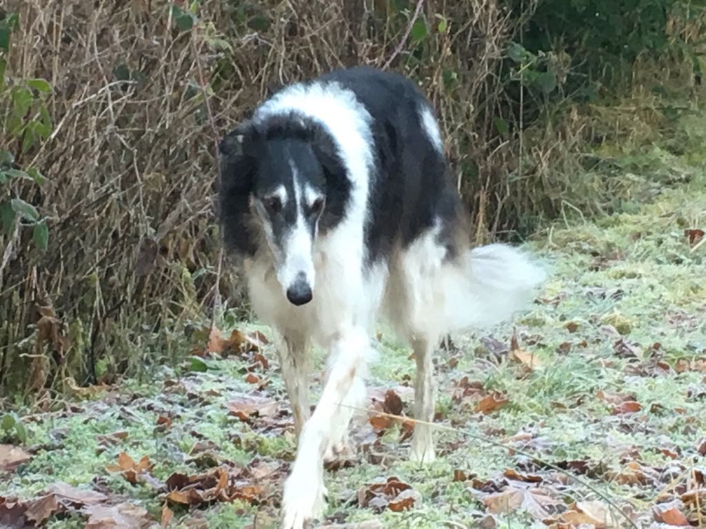 80828003 3371716969566602 3251752707970564096 o